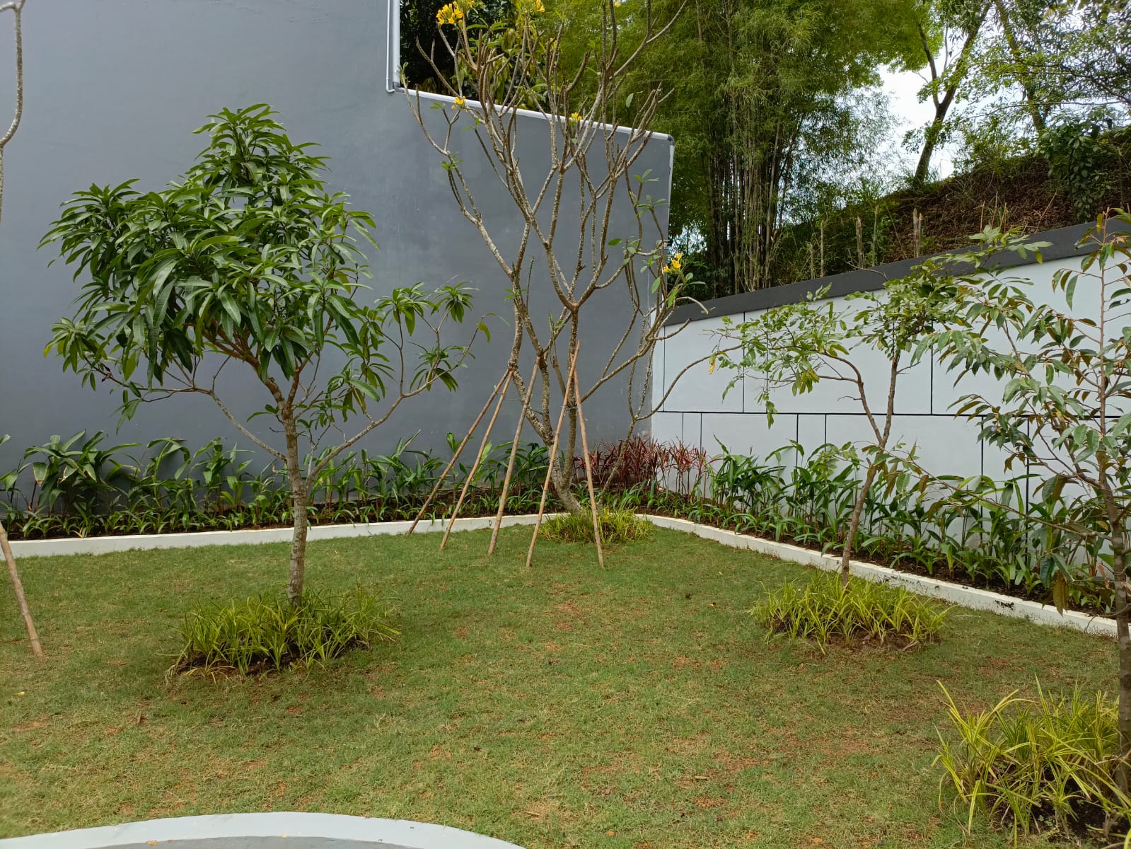 IMG-20250324-WA0016